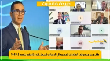 طفرة غير مسبوقة.. الصادرات المصرية إلى الدنمارك تسجل زيادة تاريخية بنسبة 48.2 1